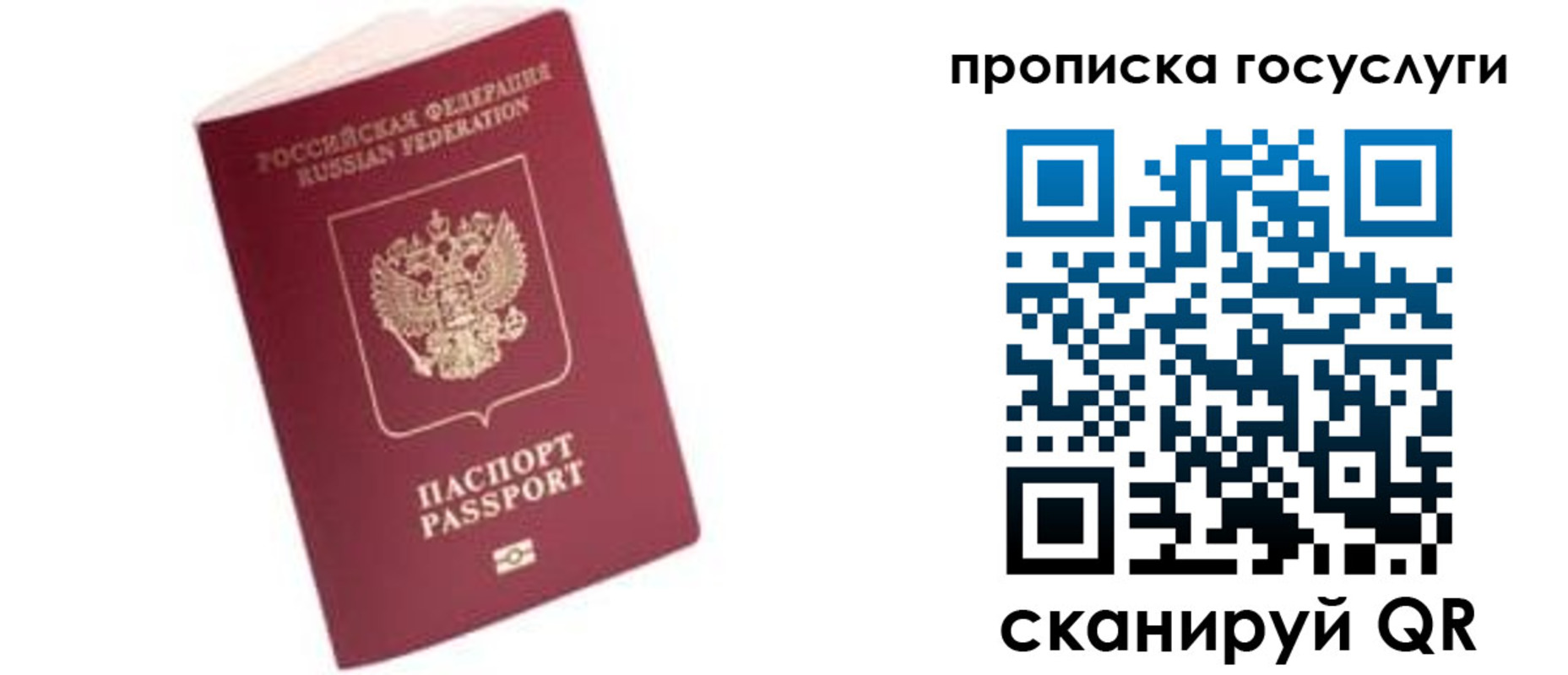 прописка в Выборге